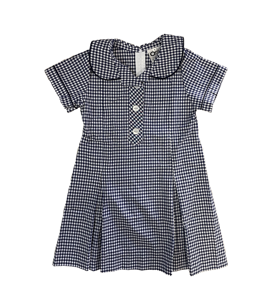 Navy & White Check Dress