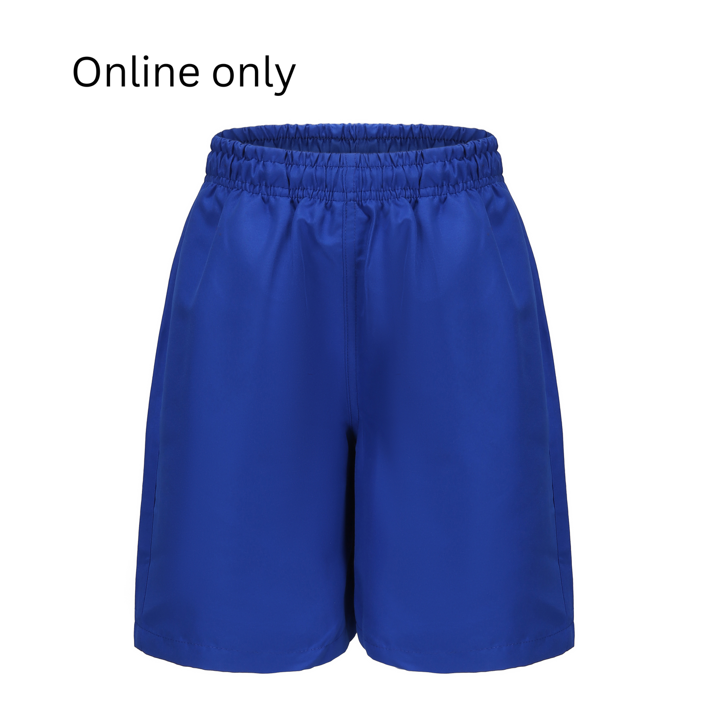Royal Blue Microfibre Sports Shorts