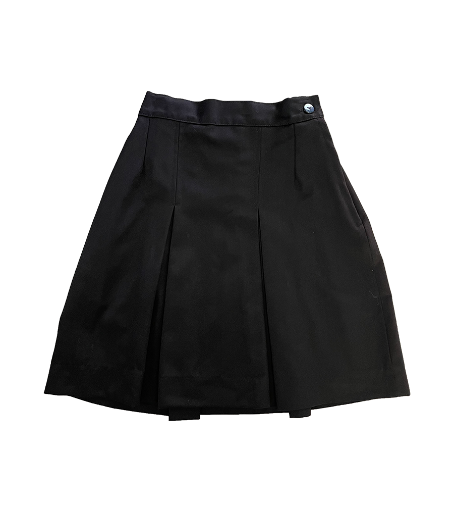 Black Pleated Skirt