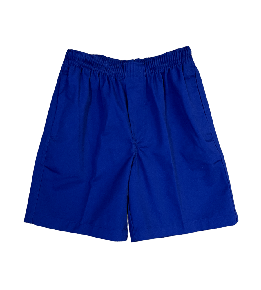 Boys Royal Blue Shorts