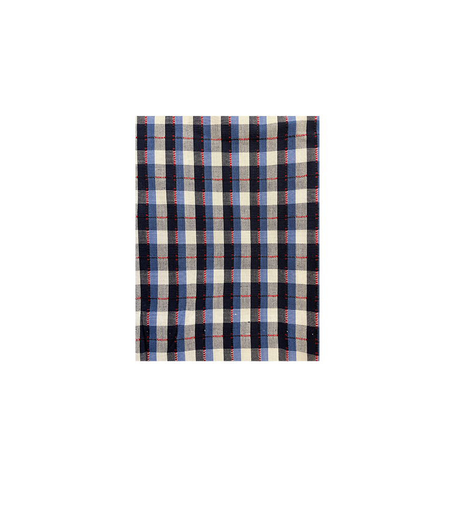 Blue Check Dress with Red Tab Tie