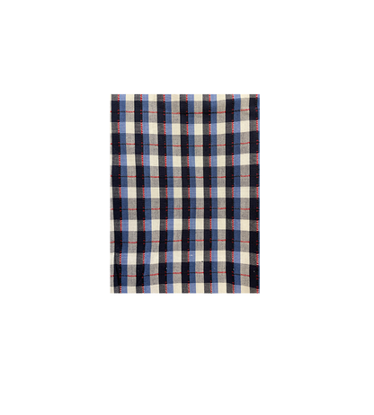 Blue Check Dress with Red Tab Tie